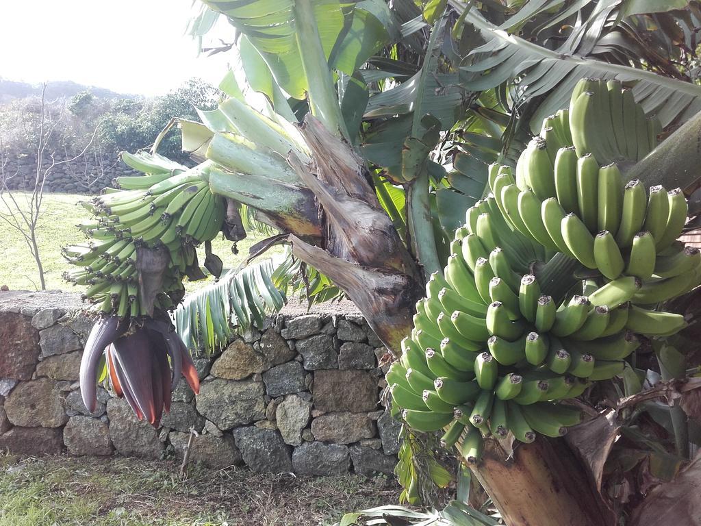 De Baixo Da Ponte Villa Biscoitos  Dış mekan fotoğraf