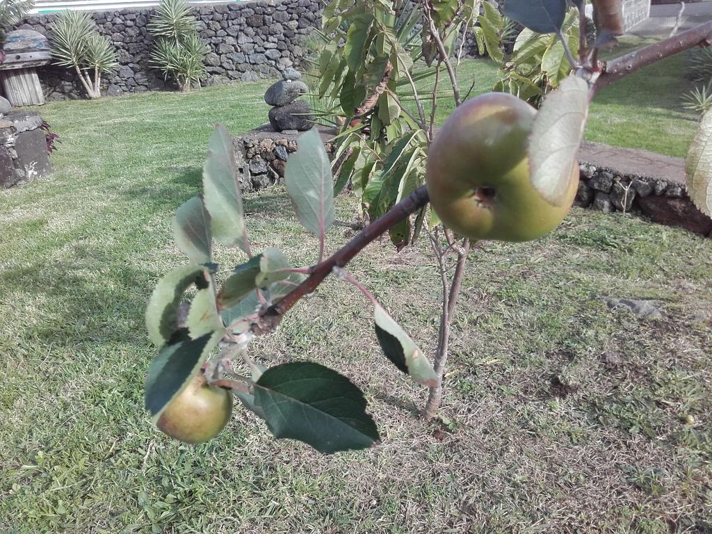 De Baixo Da Ponte Villa Biscoitos  Dış mekan fotoğraf